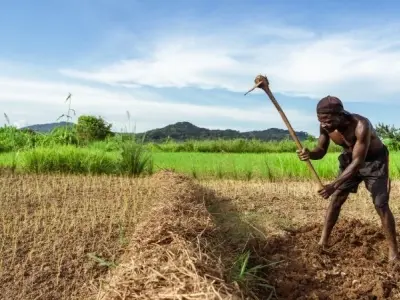 Khám phá vùng nông thôn Châu Phi với cuộc sống bình dị