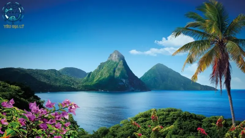 Khám phá Saint Lucia: Hòn đảo thiên đường của Caribê