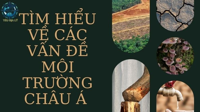 Tìm hiểu về các vấn đề môi trường Châu Á hiện nay