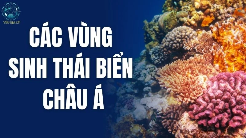 Tìm hiểu các vùng sinh thái biển Châu Á và đa dạng sinh học