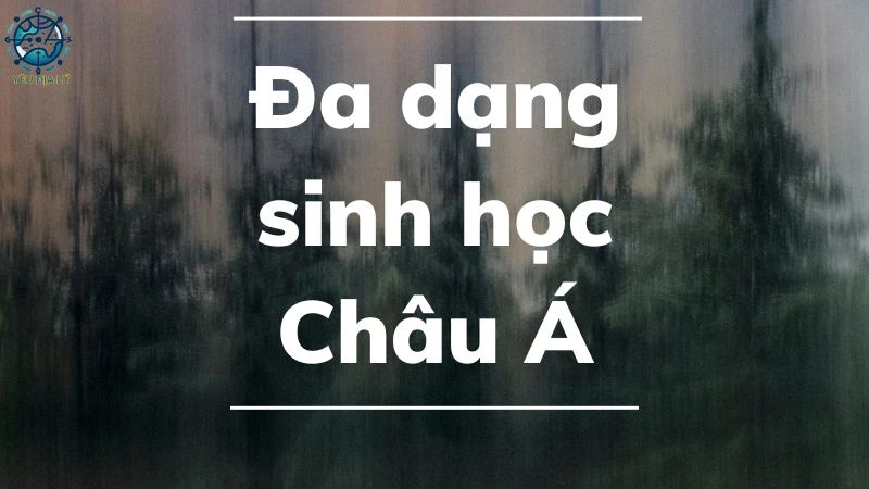 Những điều thú vị về đa dạng sinh học Châu Á bạn chưa biết