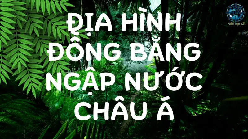 Tìm hiểu về địa hình đồng bằng ngập nước Châu Á 