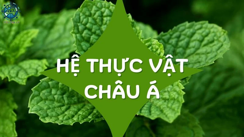 Khám phá hệ thực vật Châu Á - Sự phong phú và đa dạng