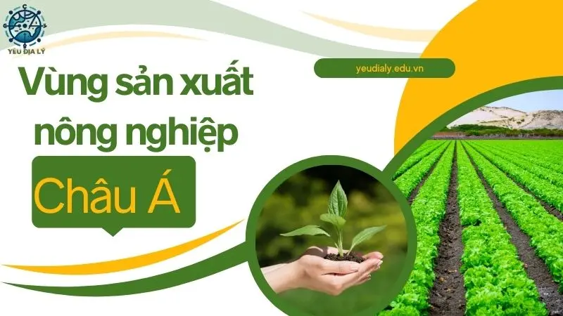 Vùng sản xuất nông nghiệp Châu Á và vai trò toàn cầu