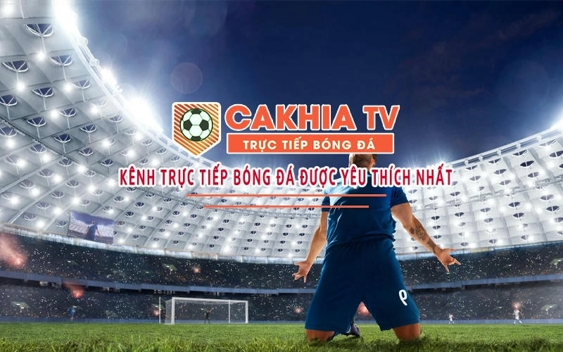 Giao diện dễ dàng tiếp cận