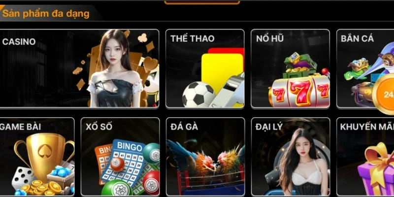 Nhiều sản phẩm nổi bật