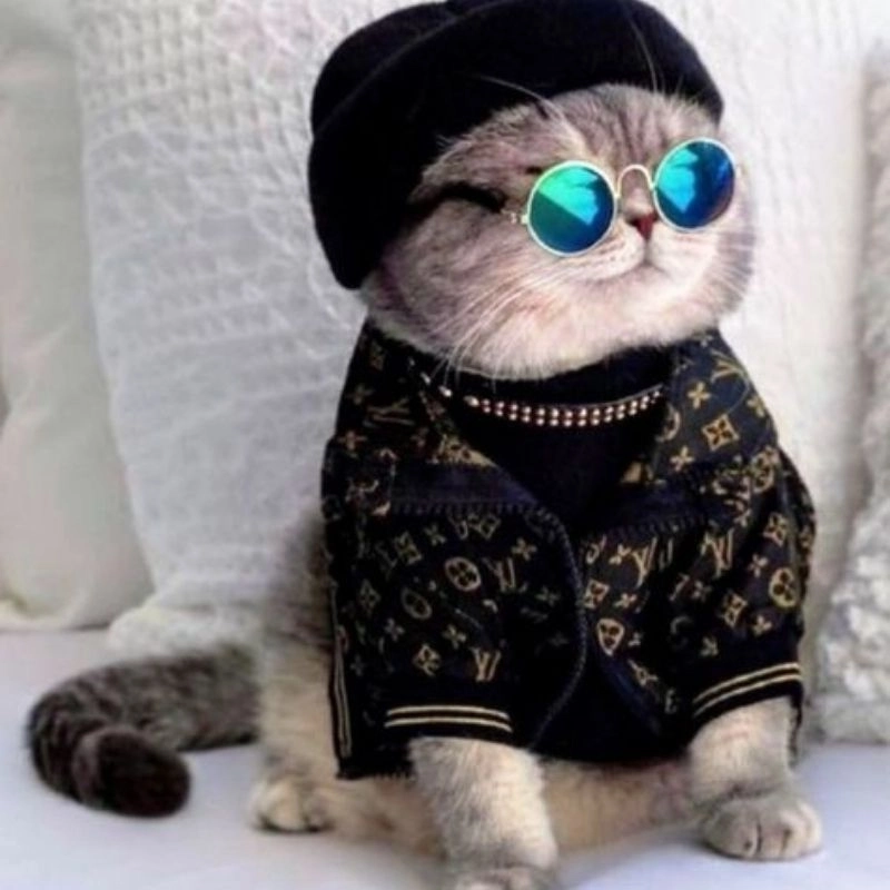 Tỏa sáng mạng xã hội với avatar hình mèo chibi cute mới