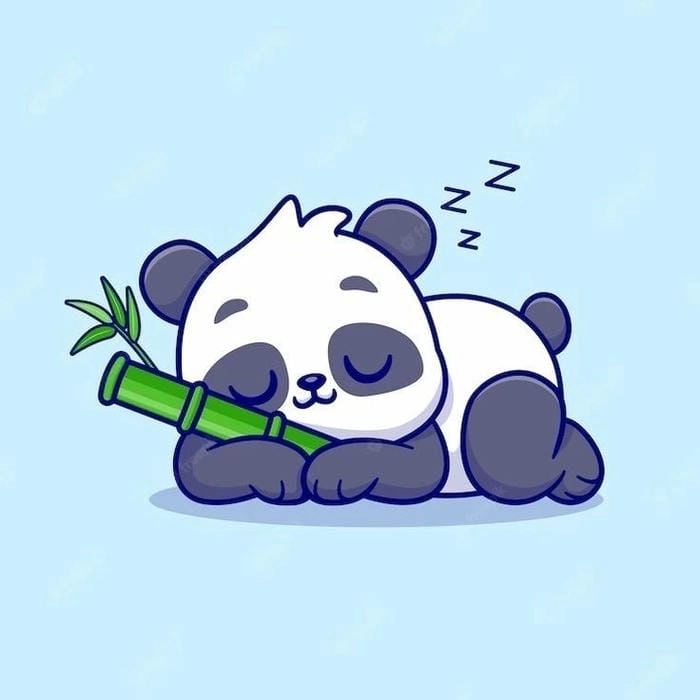 Hình gấu trúc chibi cute đáng yêu khiến ai cũng thích mê