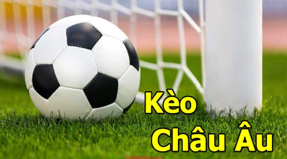 Mẹo giúp tân thủ cách đọc kèo châu Âu chi tiết và dễ hiểu