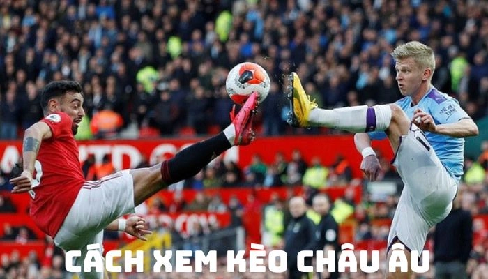 Cách soi kèo và tính kèo châu Âu hiệu quả cho tân thủ