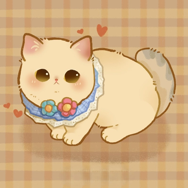 Meo chibi cute với biểu cảm dễ thương không thể cưỡng lại