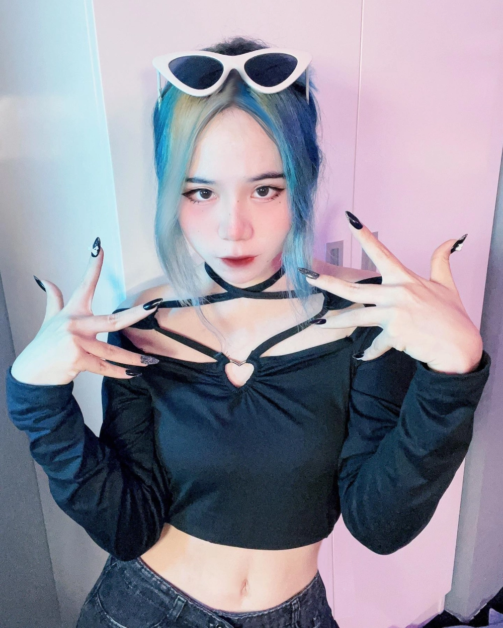 Đừng bỏ lỡ bộ phim mèo simmy đầy màu sắc