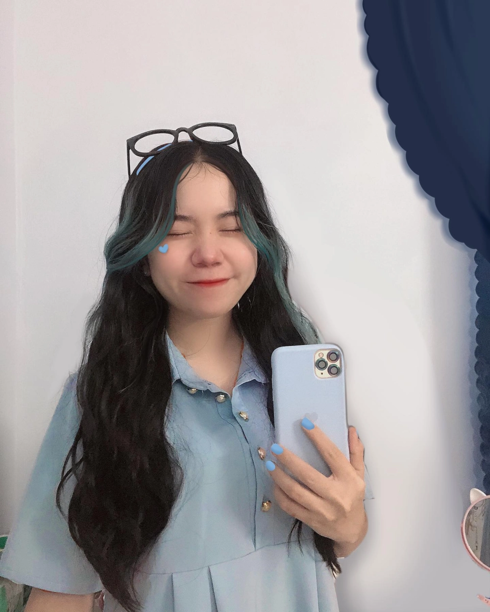 Tò mò nhà của mèo simmy ở đâu Click để biết