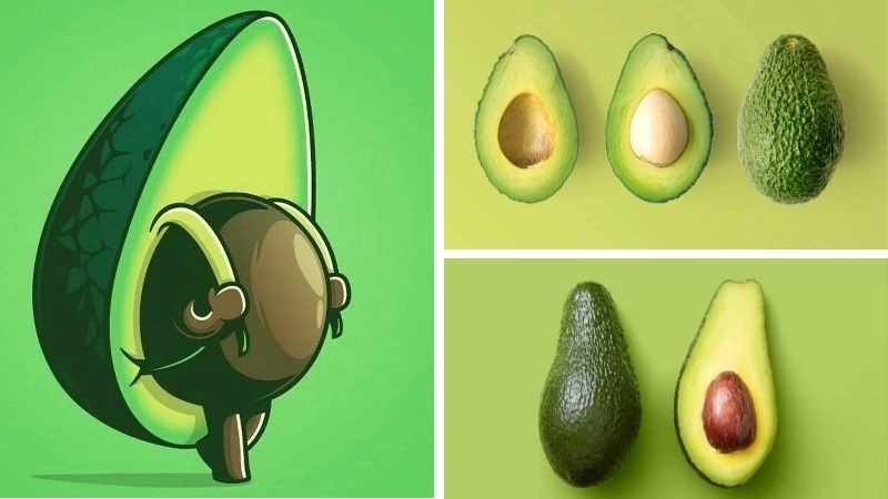 Ý nghĩa về trái bơ chibi đầy thú vị