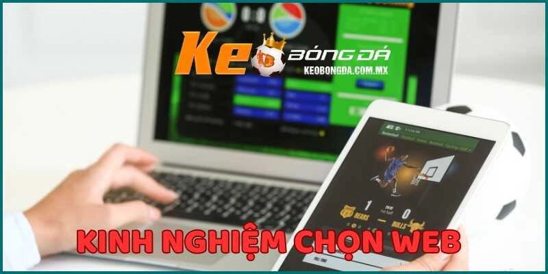 Áp dụng các kinh nghiệm sau để chọn web cho tân binh