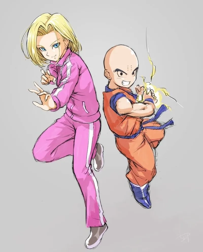 Những khoảnh khắc lãng mạn trong Krillin x Android 18 khiến fan yêu thích