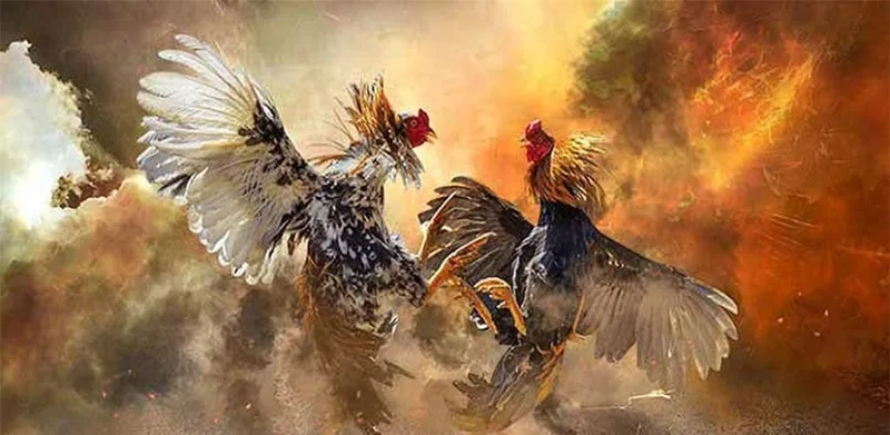  Đặt kèo rung giữa trận tại Five88 tăng cơ hội thắng.
