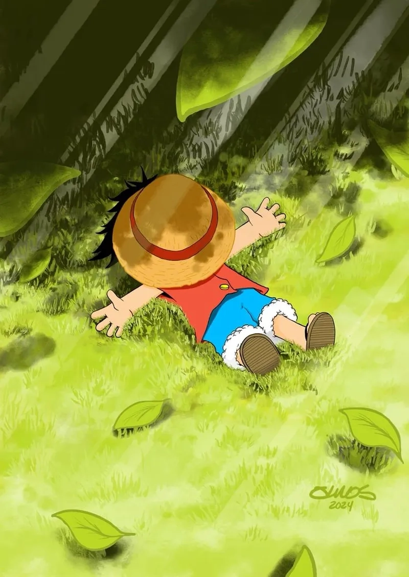 Luffy ngầu nhất rực rỡ làm bạn mê mẩn