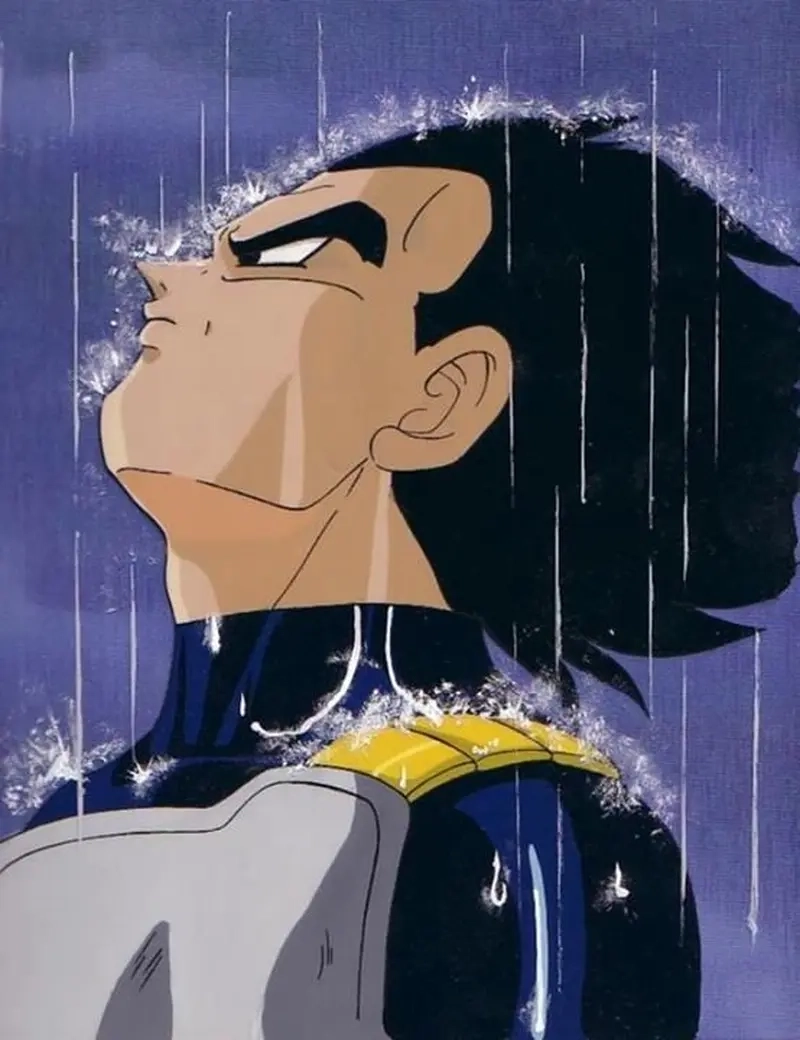Vegeta sad mang lại cảm giác trầm lắng trong thế giới chiến binh