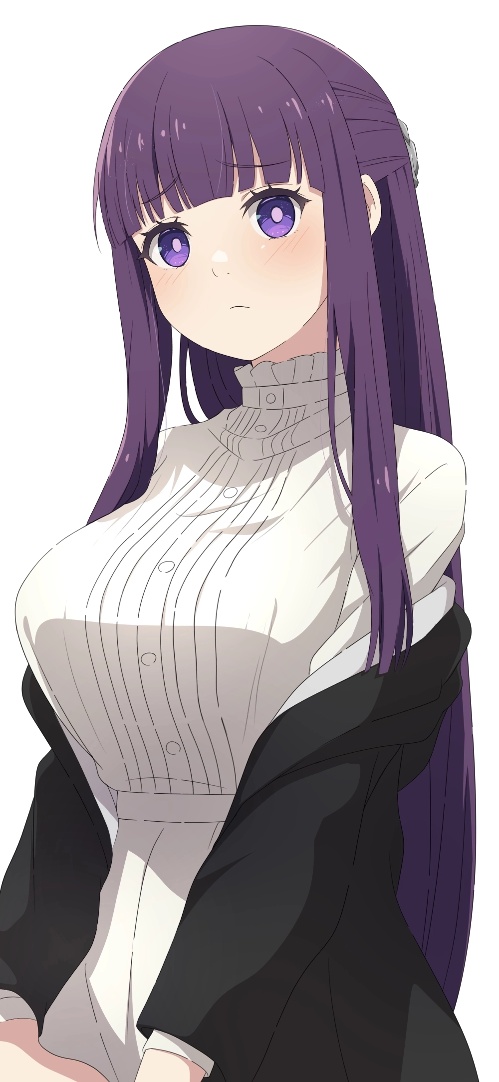 Fern anime là pháp sư trẻ tài năng đồng hành cùng Frieren