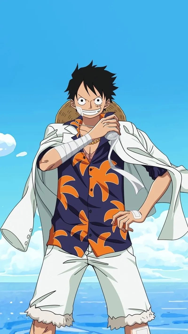 Luffy 2D mang phong cách retro, gợi nhớ cảm giác cổ điển nhưng chất