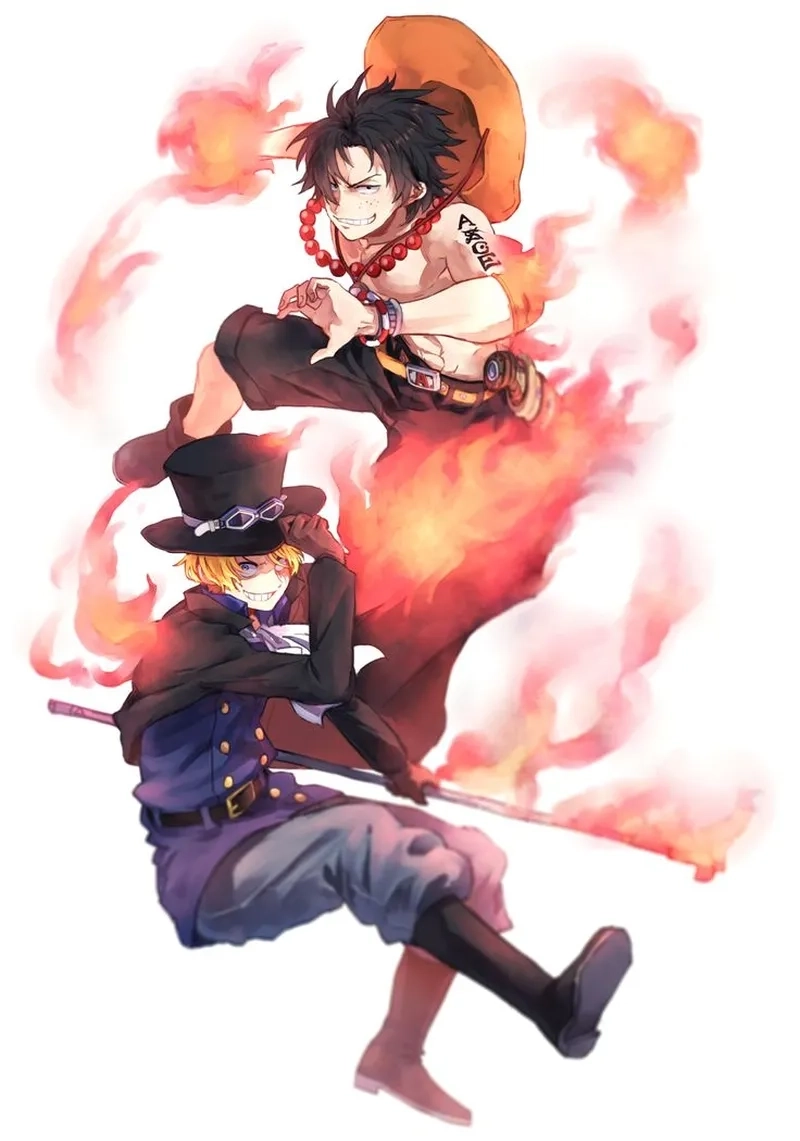One piece Sabo x Ace là cặp đôi được fan yêu thích cuồng nhiệt