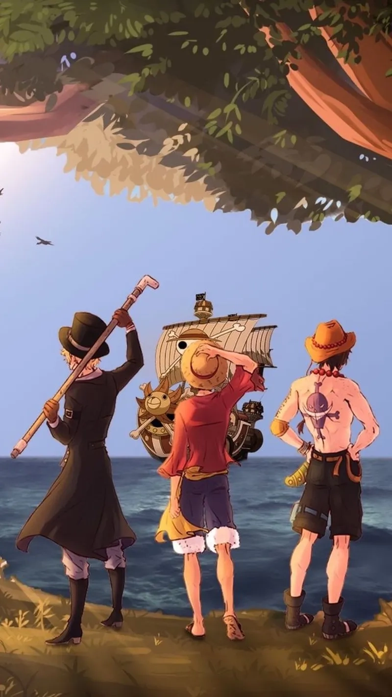 Luffy Ace Sabo đam mỹ là chủ đề yêu thích của fanfiction