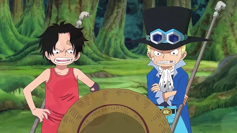 Sabo và Luffy là mối quan hệ đầy cảm động trong One Piece