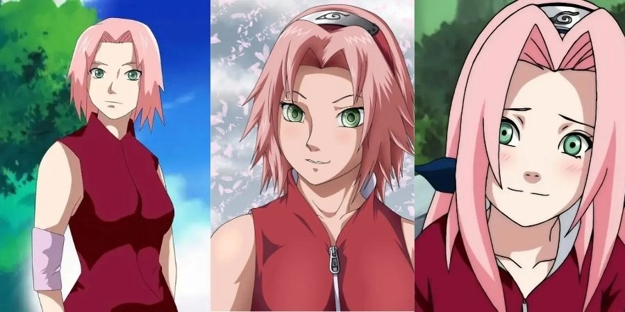 Tiểu sử về Sakura Haruka