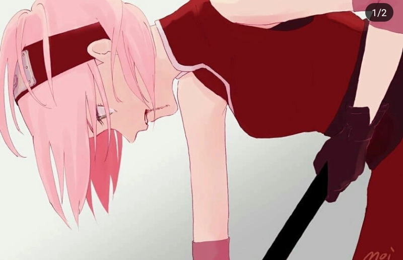 Tải hình nền Sakura Haruka đẹp rực rỡ cho điện thoại và máy tính