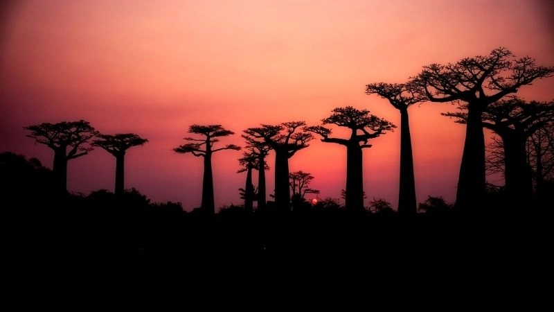 Hoàng hôn Madagascar