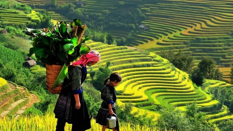 Trekking terraces