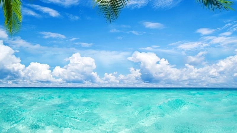 Biển Caribe là gì