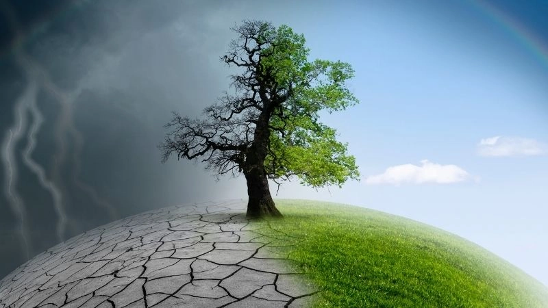 Tầm quan trọng biến đổi khí hậu