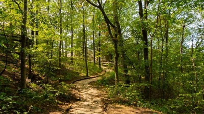 Đường mòn hiking