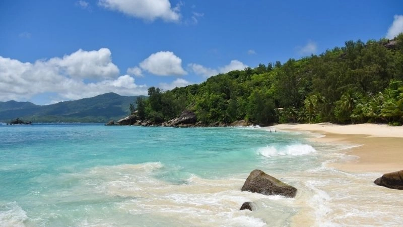 Đường bờ biển châu Phi đặc điểm gì