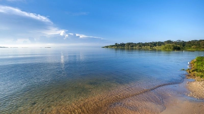 Biển nào nằm giữa châu Âu và châu Phi