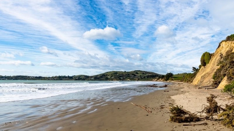 Bãi biển Cape Town