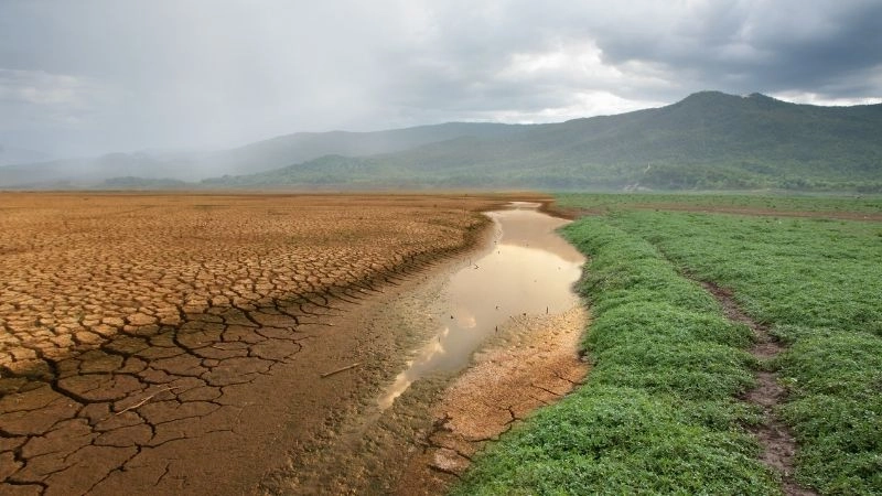 Khí hậu châu Phi phong phú