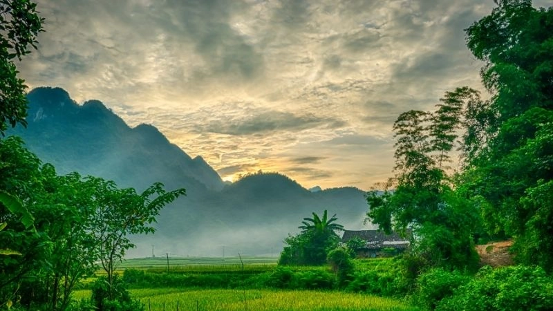 Các vùng mưa nhiều châu Á