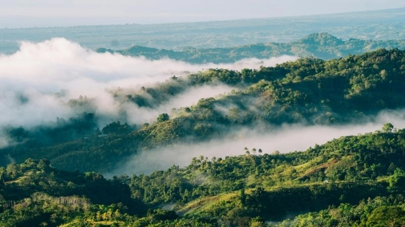 Nước nào mưa nhiều nhất