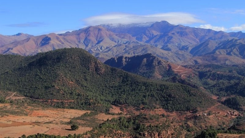 Cao nguyên Atlas