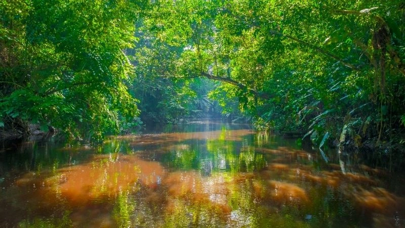 Tầm quan trọng địa chính trị Amazon