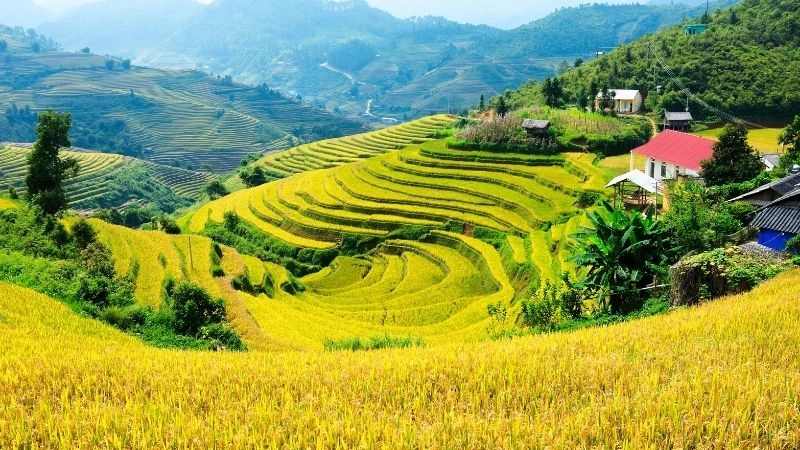 Kể tên đồng bằng thuộc châu Á