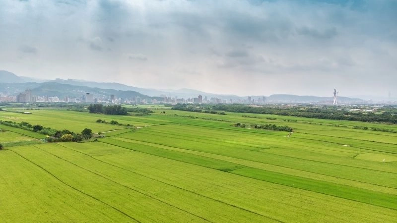 Đặc điểm địa hình đồng bằng