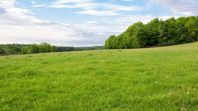 Tại sao đồng bằng màu mỡ