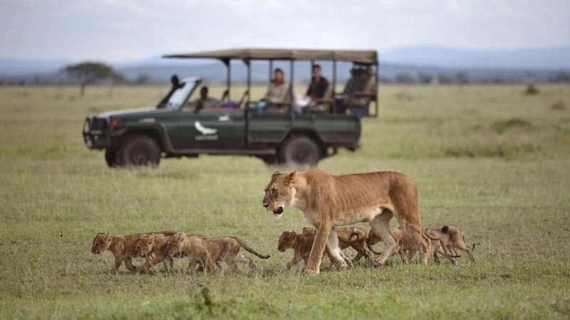 Safari Serengeti