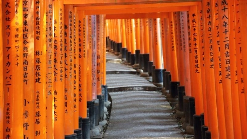 Đường mòn hiking