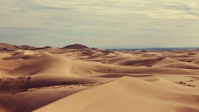 Cồn cát Khongoryn Els