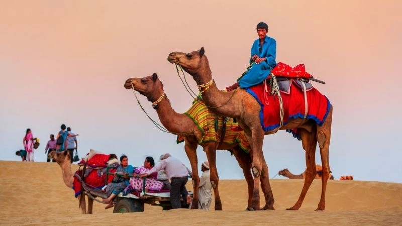 Cưỡi lạc đà Jaisalmer